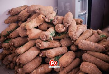 PHOTO-2025-02-03-06-57-19 2